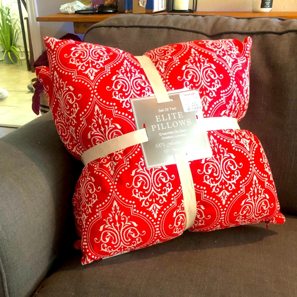Beautiful Red embroidered Elite Pillows, Set of Two